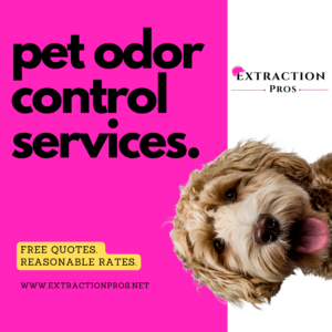Ozone Treatment, Removing Pet Odor, Extraction Pros, Foley AL, Jenna Pendley