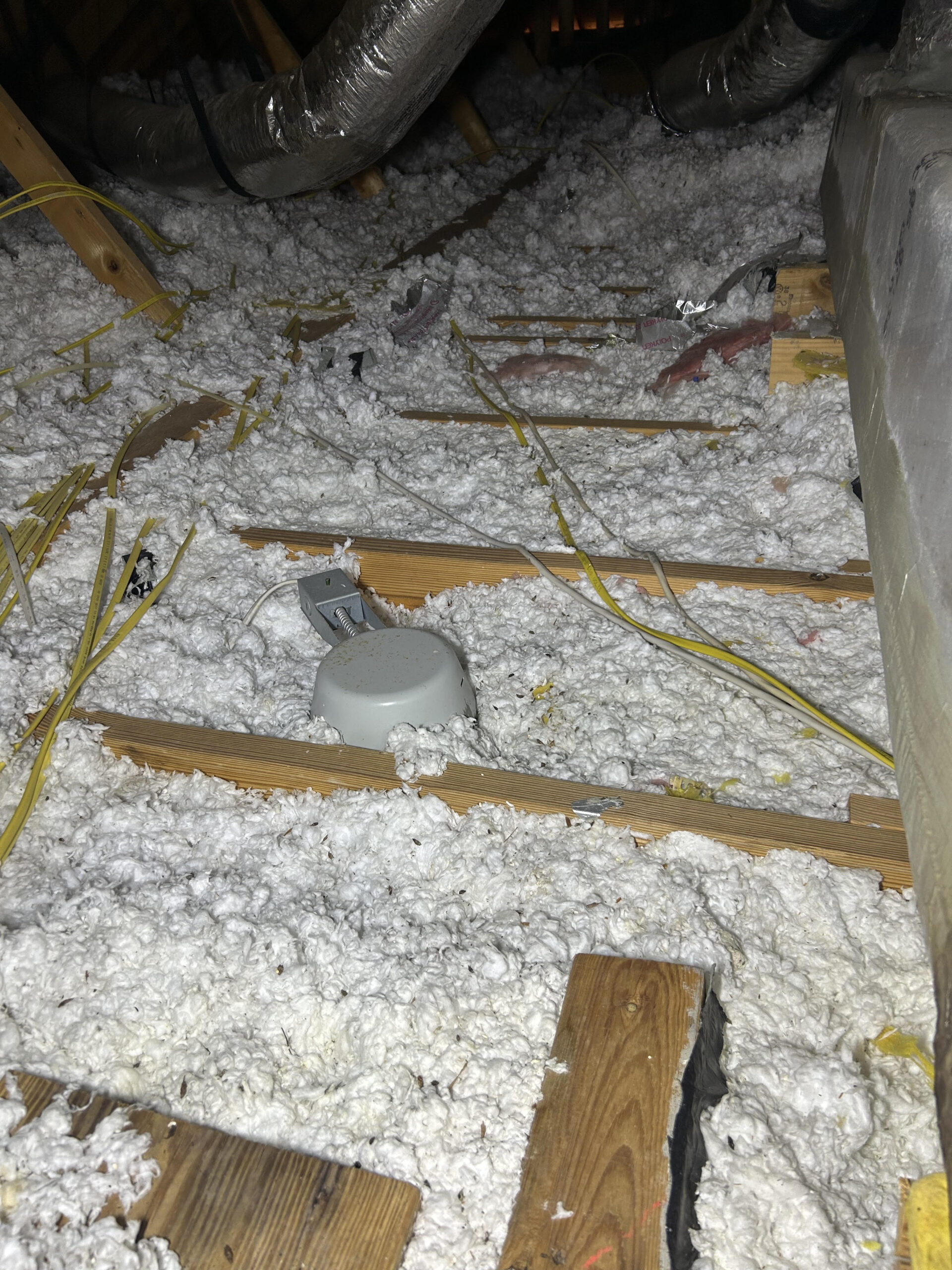 Your attic is an often-overlooked part of your home, but it plays a crucial role in maintaining indoor air quality and overall health. If you've noticed persistent allergy symptoms, respiratory issues, or other unexplained health problems, the culprit might be contaminated insulation. Let's explore how attic insulation can affect your well-being and what you can do about it.