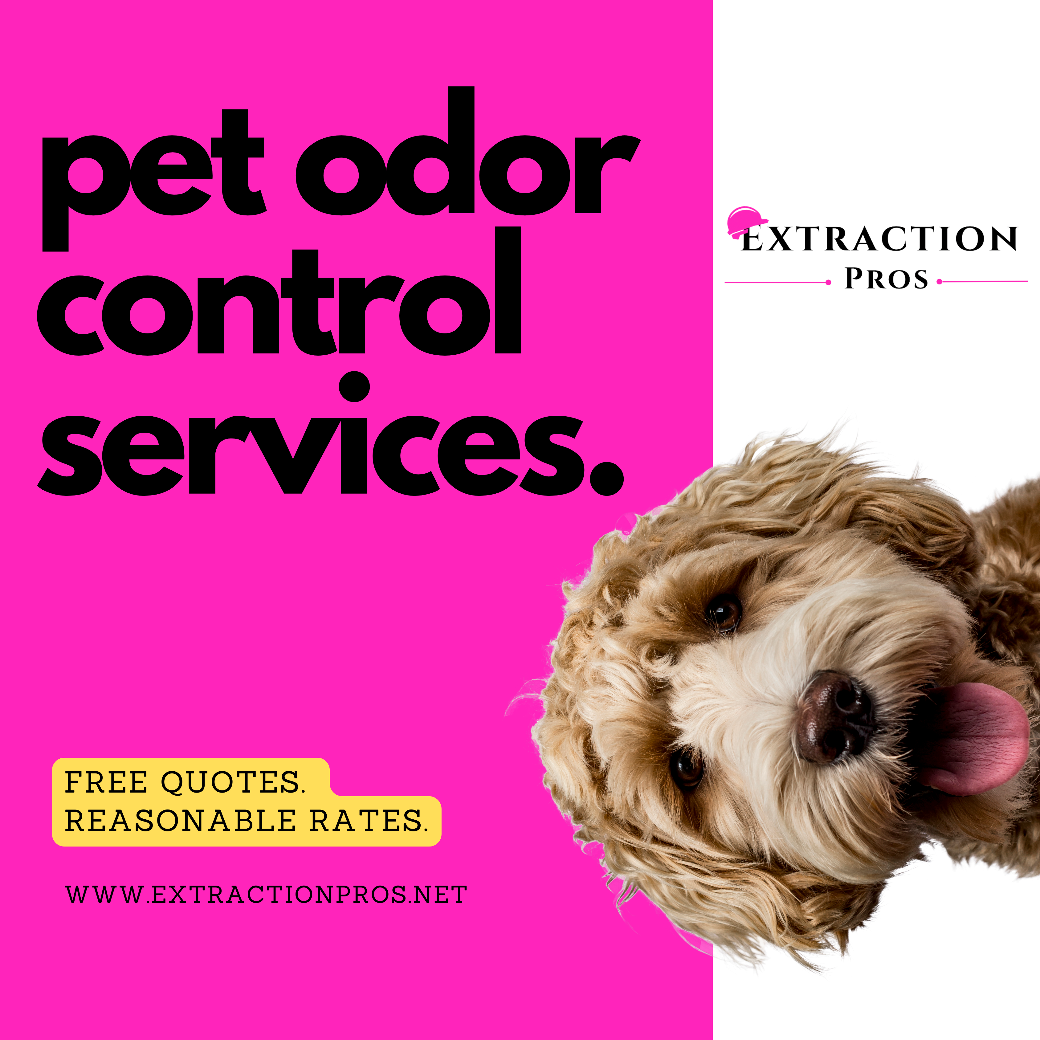 Pet odor removal near me