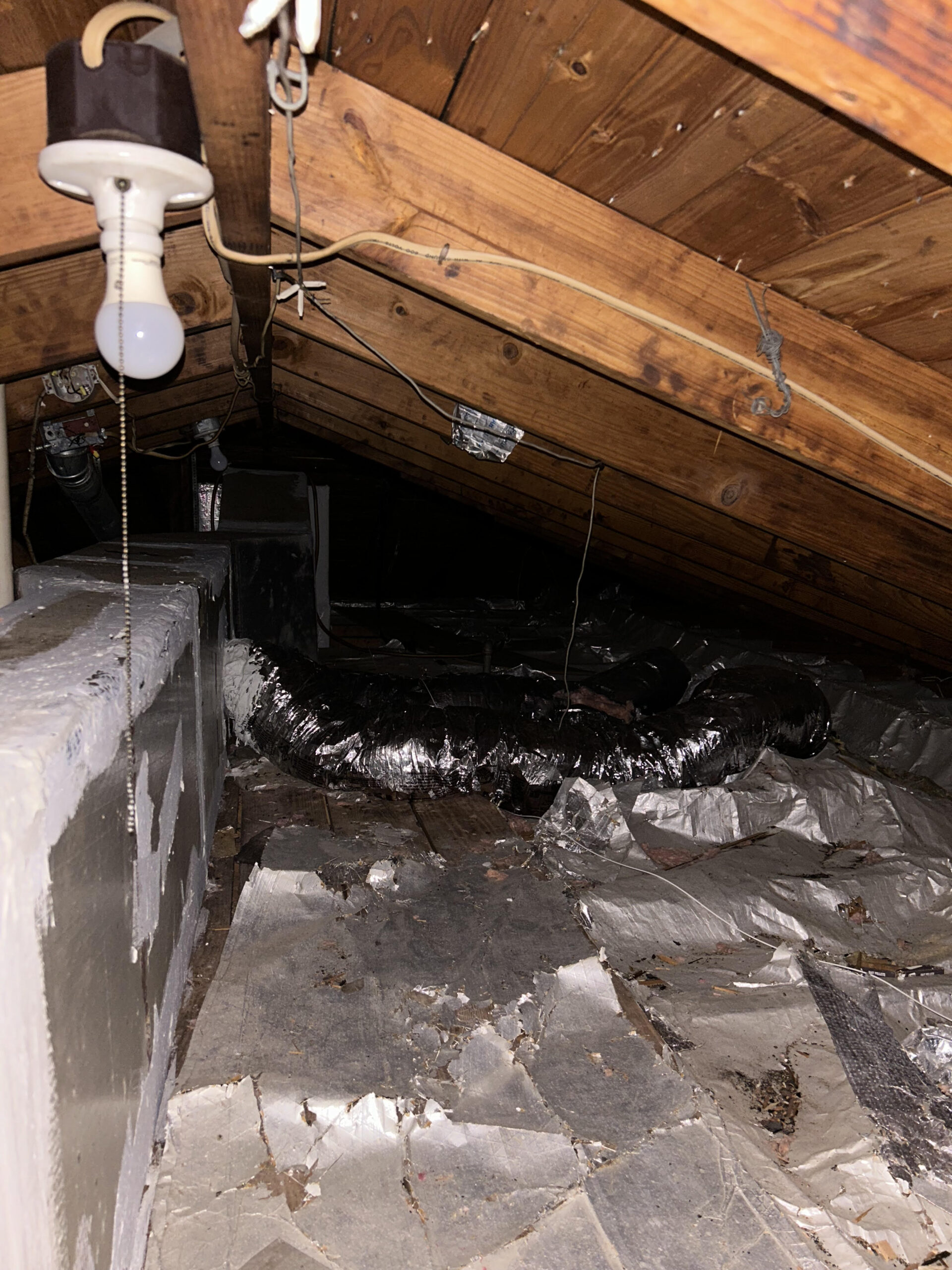 It's important to address a raccoon infestation promptly to prevent further damage and health risks. Here’s a step-by-step guide on what to do next: